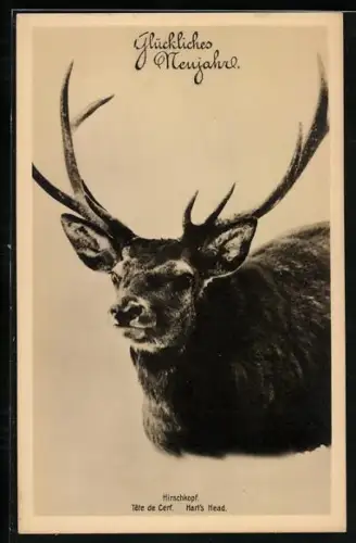 AK Hirschkopf, Neujahrsgruss