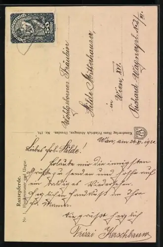 AK Hannoveraner und Ungar, Rassepferde mit Zaumzeug