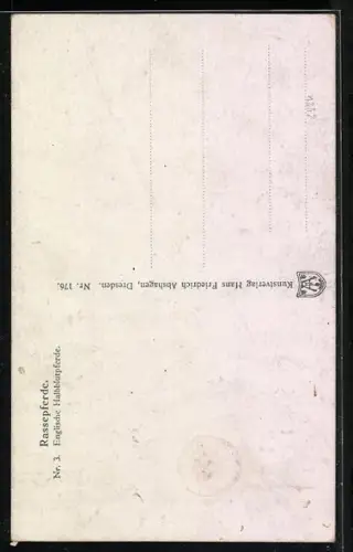 AK Zwei englische Halbblutpferde mit Zaumzeug