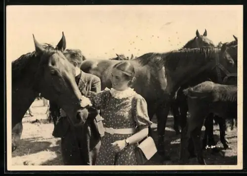 Foto-AK Pferde auf einem Platz mit streichelndem Mädchen