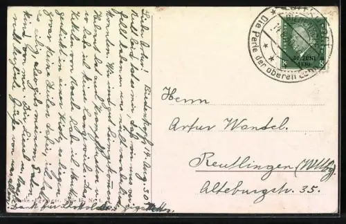 AK Vier edle Reitpferde mit Zaumzeug