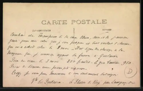 Foto-AK Ochse, an einem Strick gehalten, 1912