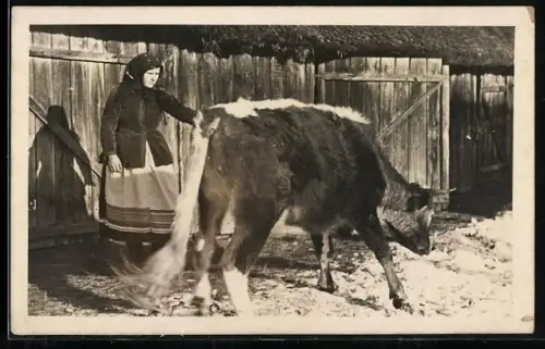 Foto-AK Bäuerin mit Rind vor einer Bretterwand
