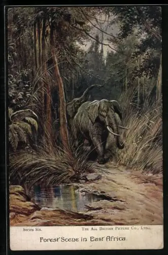 AK Forest Scene in East Africa, Elephants