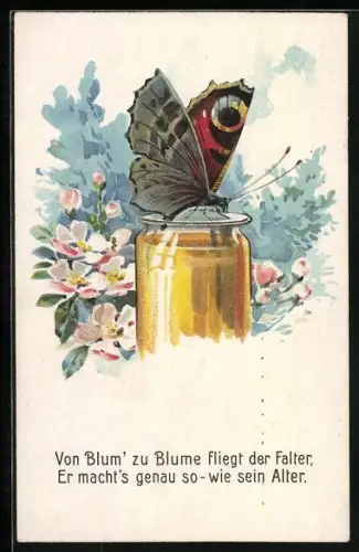 Künstler-AK Schmetterling labt sich an einem Honigglas