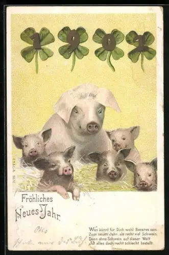 Glitzer-Perl-AK Schwein mit Ferkeln, Jahreszahl 1901