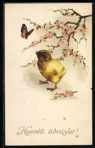 AK Küken und fliegender Schmetterling unter einem blühenden Ast
