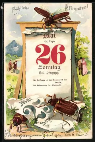 AK Pfingstgruss, Maikäfer klettern auf Kalender, Fahrradfahrer