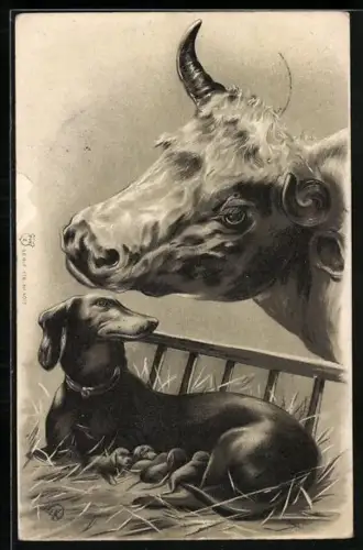 Lithographie eine Kuh beugt sich über einen Dackel und Dackelwelpen