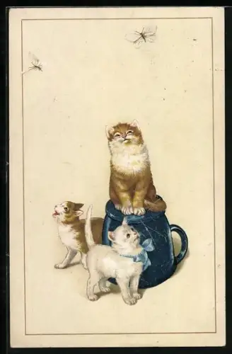 AK Drei Katzen mit einer umgekehrten blauen Tasse