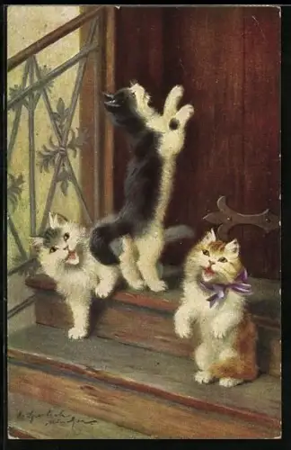Künstler-AK Drei kleine Katzen vor einer Haustür