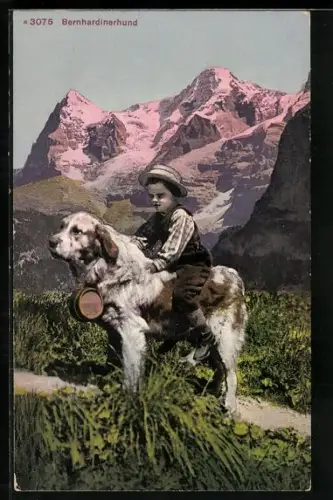 AK Mürren, Knabe auf dem Rücken eines Bernhardiners vor Eiger u. Mönch