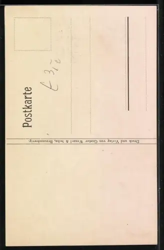 AK Teleskopschleierfische, Hochflosser, im Wasser