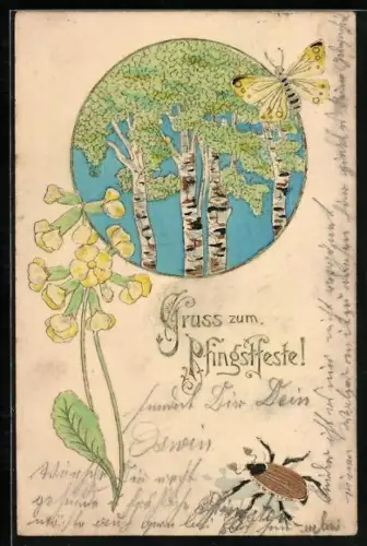 Lithographie Schmetterling, Primel, Birken und Maikäfer, Pfingstgruss