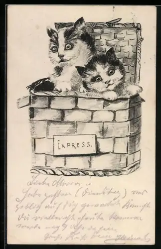 AK Zwei Katzen als Expressgut im Korb