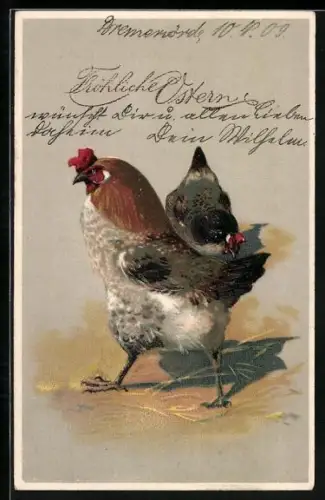 AK Joyeuses Paques, Hühner zu Ostern