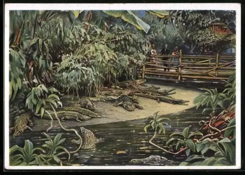 AK Berliner Aquarium, In der Krokodilhalle