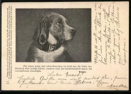 AK Berliner Tierschutz-Verein, trauriger Hund, Gedicht