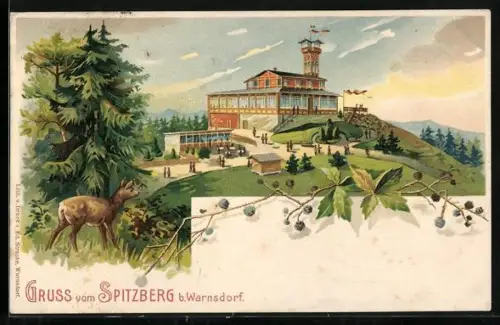 Lithographie Spitzberg, Gasthaus u. Aussichtsturm, Reh