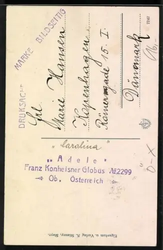 AK Steyr, Villa Schönauer mit Strassenpartie