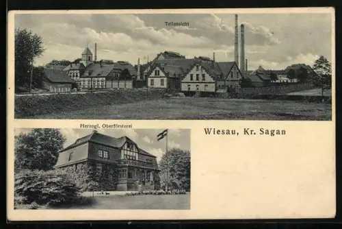 AK Wiesau /Sagan, Herzogl. Oberförsterei, Ortspartie