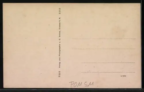 AK Trebitsch /N.-M., Gasthaus, Radfahrer-Pumpstation, Netze-Brücke und Vereinshaus von Franz Schulz