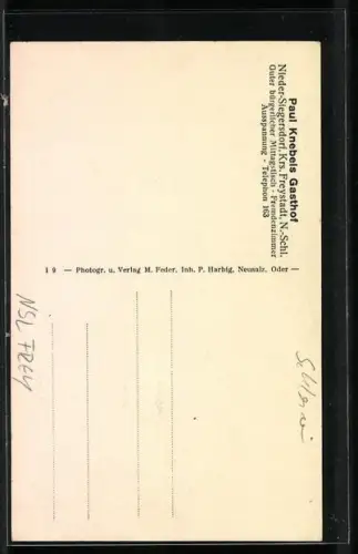 AK Nieder-Siegersdorf /Freystadt, Paul Knebel`s Gasthof mit Innansicht