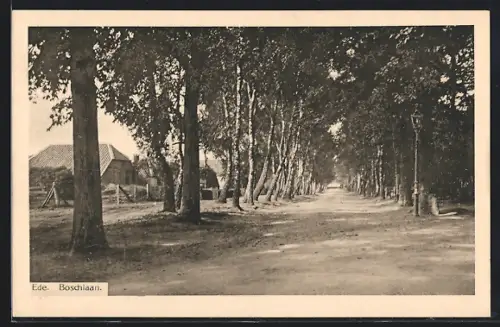 AK Ede, Boschlaan