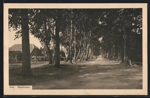 AK Ede, Boschlaan