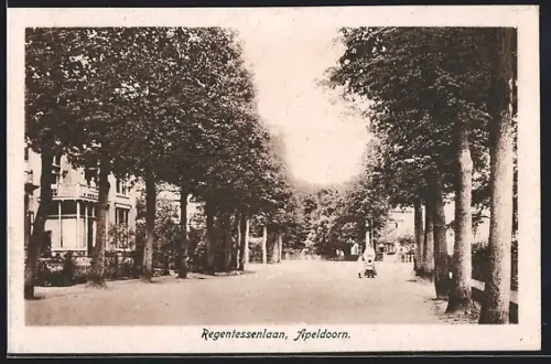 AK Apeldoorn, Regentessenlaan