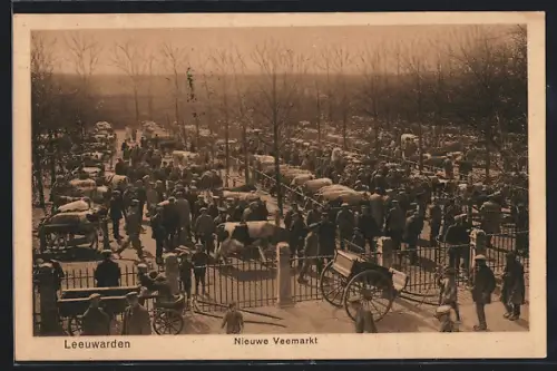 AK Leeuwarden, Nieuwe Veemarkt