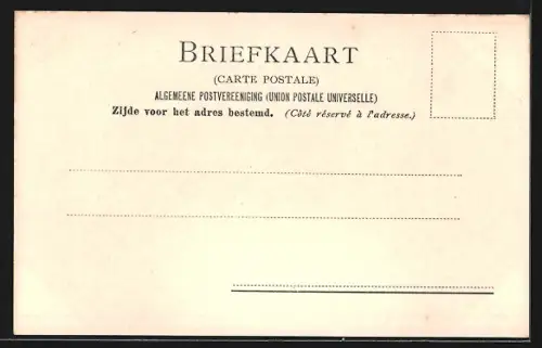 AK Leeuwarden, Nieuwestad