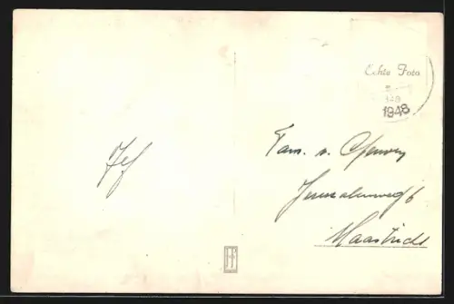 AK Zaandam, Czaar Peter Monument