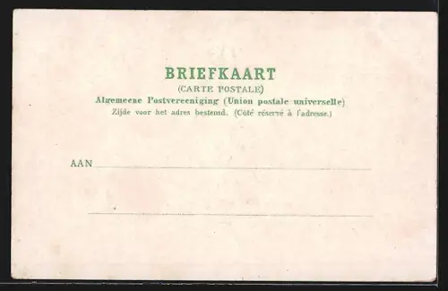 AK `s Gravenhage, Groote Markt