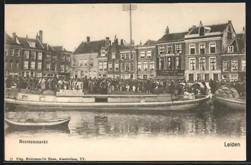 AK Leiden, Beestenmarkt