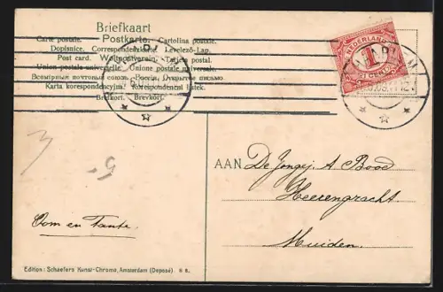 AK Omstr. Haarlem, Hiacinthenvelden, Heemstede met Stadthuis