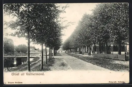 AK Valthermond, Strassenpartie mit Bäumen