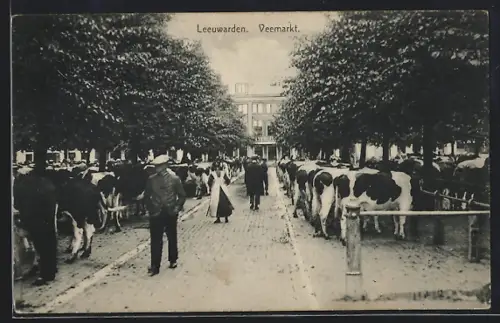 AK Leeuwarden, Veemarkt