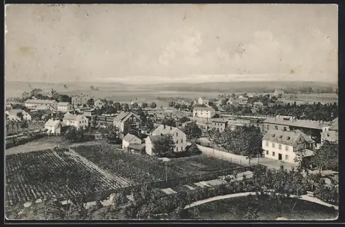 AK Mehltheuer / V., Teilansicht mit Strassenpartie