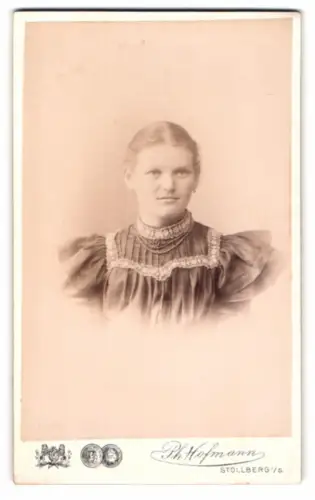 Fotografie Ph. Hofmann, Stollberg i. S., Frau im eleganten Kleid