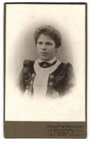 Fotografie F. W. Reichert, Weissenfels, Promenade 19, Porträt einer Dame