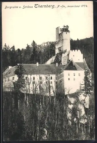 AK Thernberg /N.-Oe., Burgruine und Schloss