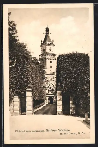 AK Wallsee an der Donau, Einfahrt zum erzherzogl. Schloss