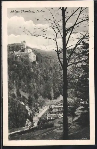 AK Thernberg /N.-Oe., Schloss Thernberg