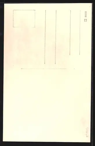 AK Schärding a. Inn, Partie am Lingertor