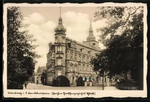 AK Oldenburg / Gr., Blick auf das Landesmuseum
