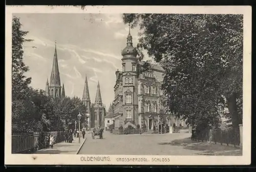 AK Oldenburg / Gr., Strassenpartie am Grossherzogl. Schloss