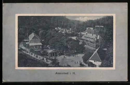 AK Alexisbad i. H., Ortsansicht mit Kurhäusern und Park