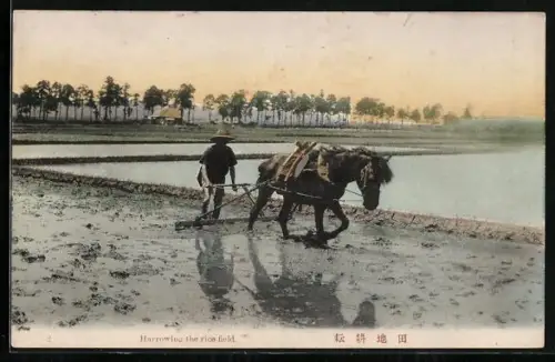 AK Japan, Harrowing the rice field