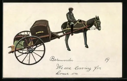 AK Reiter auf Maultier mit Wagen, beladen mit Koffern